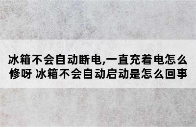 冰箱不会自动断电,一直充着电怎么修呀 冰箱不会自动启动是怎么回事